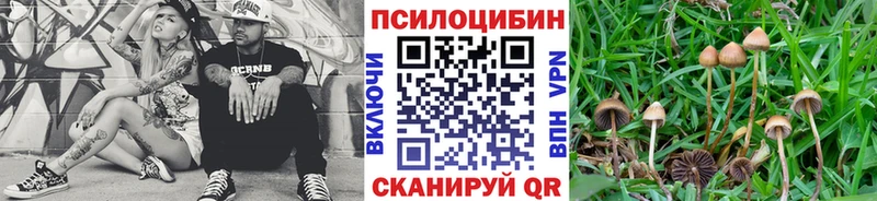 Галлюциногенные грибы прущие грибы  как найти закладки  Темников 